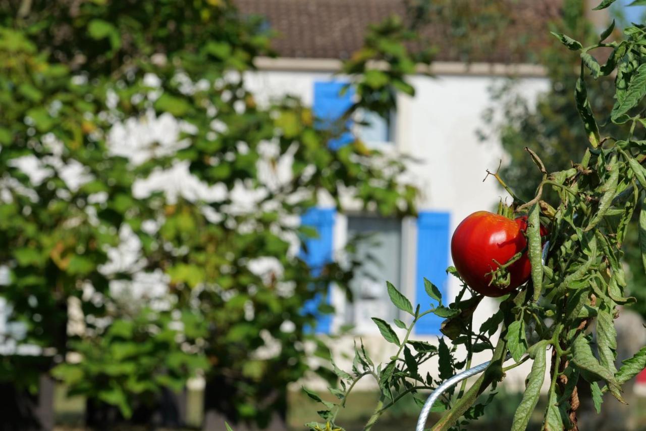 Moulin De Mauzac Bed & Breakfast Saint-Just-Luzac Exterior photo